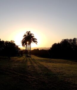 Home » Crisis Home » Crisis